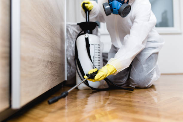 Best Affordable Pest Control Services  in Powells Crossroads, TN