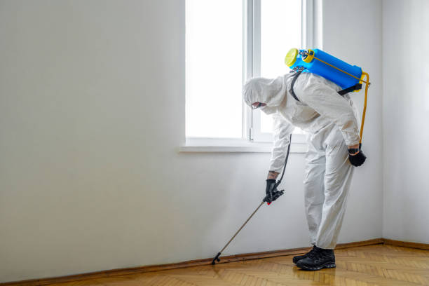 Best Pest Removal Services  in Powells Crossroads, TN