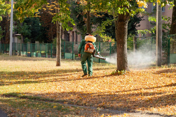 Best Best Pest Control Companies  in Powells Crossroads, TN